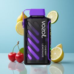 VOZOL Gear Power 20000 Bouffées Cerise Citronnade Écran Plein Dual Mesh