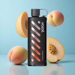 VOZOL Gear Shisha 25000 Bouffées Mangue Pêche Double Mesh Double Modes