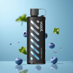 VOZOL Gear Shisha 25000 Puffs Double Modes Menthe Myrtille