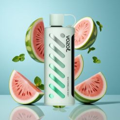VOZOL Gear Shisha 25000 Puffs Pastèque Menthe Double Mesh 5 mg/ml de nicotine