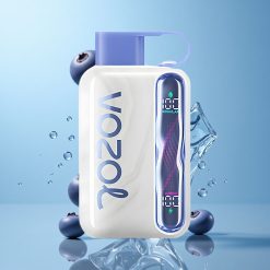 VOZOL STAR 40000 Puffs Glace Myrtille 1000mAh Type-C