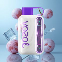 VOZOL STAR 40000 Puffs Glace Raisin Vape Jetable 1000mAh 20/50 mg/ml de nicotine