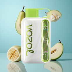 VOZOL STAR 40000 Puffs Menthe Fraîche 1000mAh Type-C