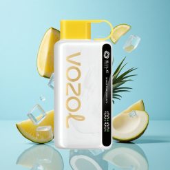 VOZOL STAR 9000/12000 Ananas Noix de Coco Glacé avec S.i.L.C TECH et Charge Rapide 30%