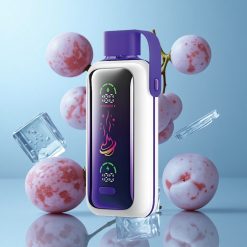 VOZOL Star 20000 Puffs Glace Raisin Double Mesh Écran HD