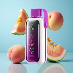 VOZOL Star 20000 Puffs Pêche Mangue Pastèque Écran HD 650mAh