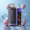 VOZOL Vista 20000 Bouffées 650mAh Glace Raisin Recyclable