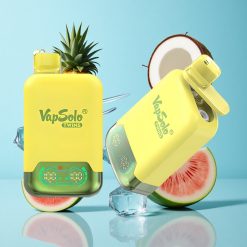 Vapsolo Twins 20000 Puffs Ananas Noix de Coco & Pastèque Glacée 40ml 20/50 mg/ml de nicotine