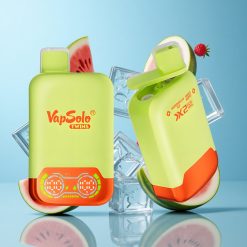 Vapsolo Twins 20000 Puffs Pastèque Glacée & Baies Mixtes 40ml 20/50 mg/ml de nicotine